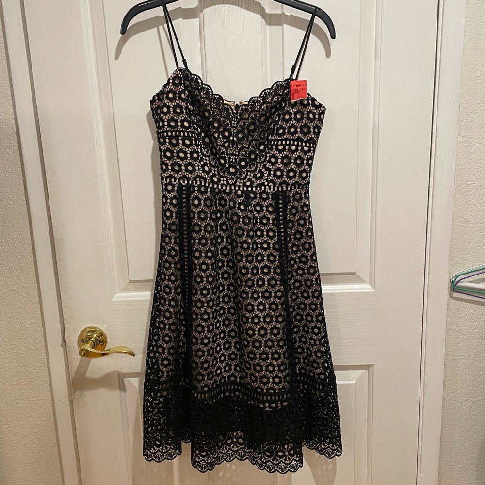 J. Crew Black and Cream Lace Midi Dress
